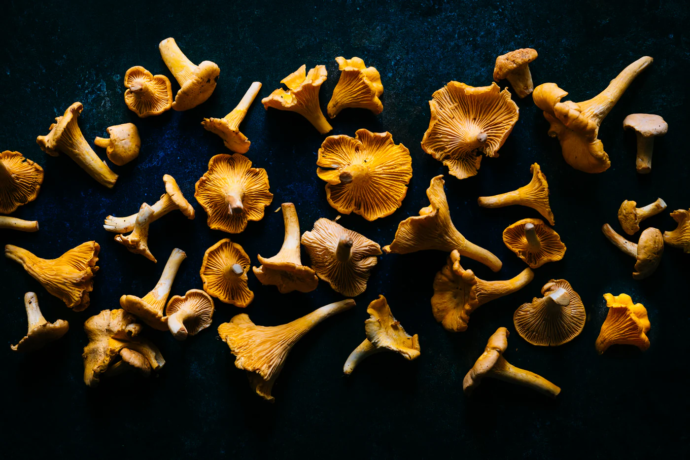 The World’s Finest Rare Ingredients